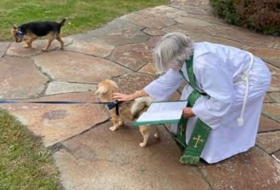 Blessing of the Animals